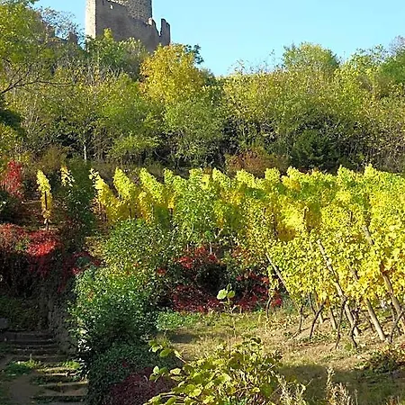 Les Remparts Hotel 3*