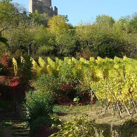 Les Remparts Kaysersberg-Vignoble